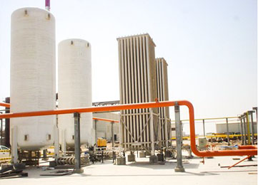 Our Services